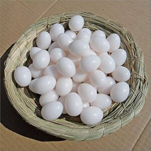 Gamefowl Hatching Eggs