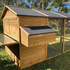 Homestead Cat Enclosure